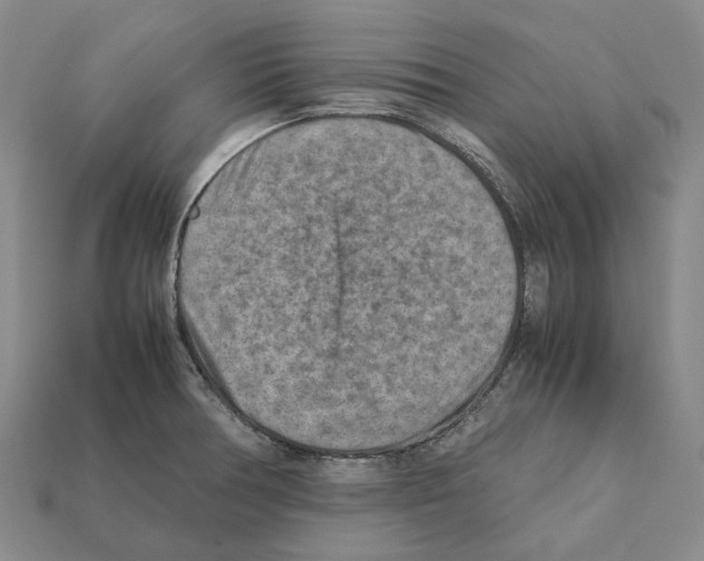 X0000111901378200909071127