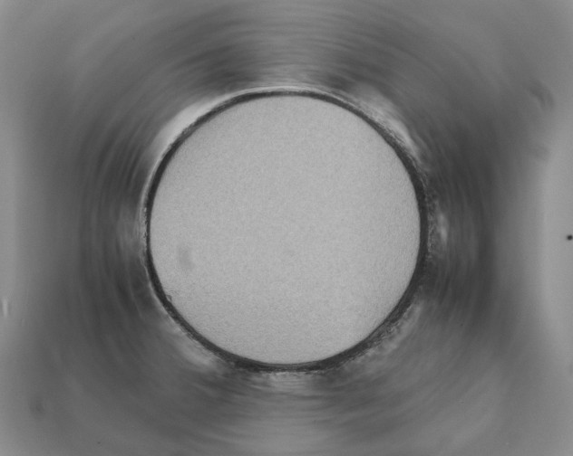 X0000111901380200909071127