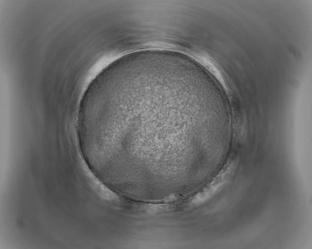 X0000111901381200909071127