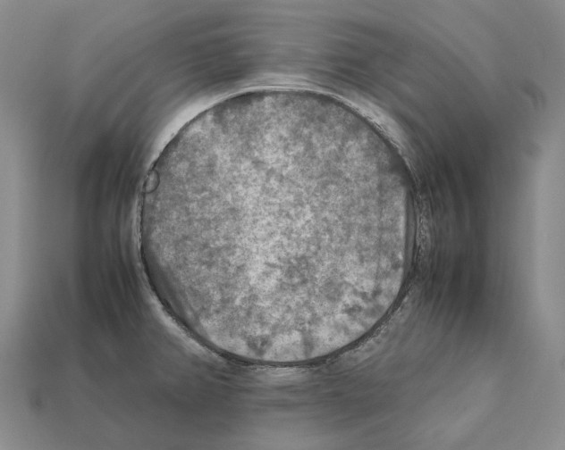 X0000111901382200909071127