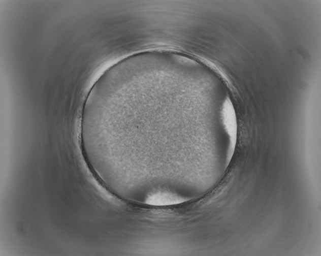 X0000111901383200909071127