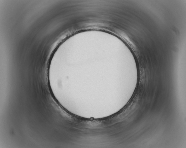 X0000111901384200909071127