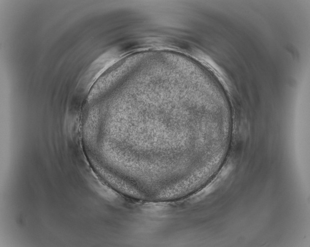 X0000111901385200909071127