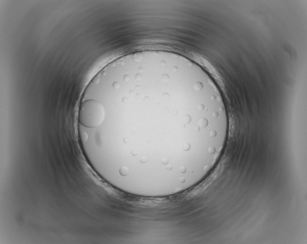 X0000111901386200909071127