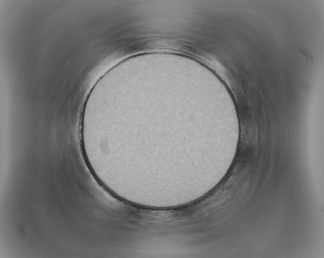 X0000111901387200909071127