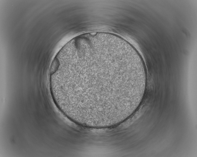 X0000111901389200909071127