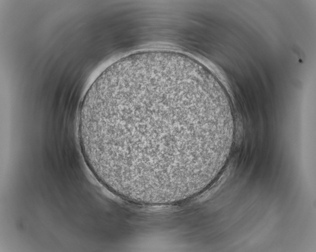 X0000111901390200909071127