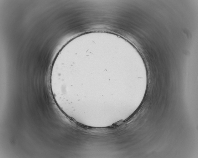 X0000111901392200909071127