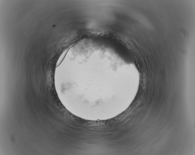 X0000111901394200909071126