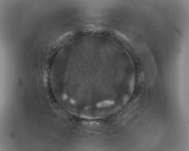 X0000111901397200909071126