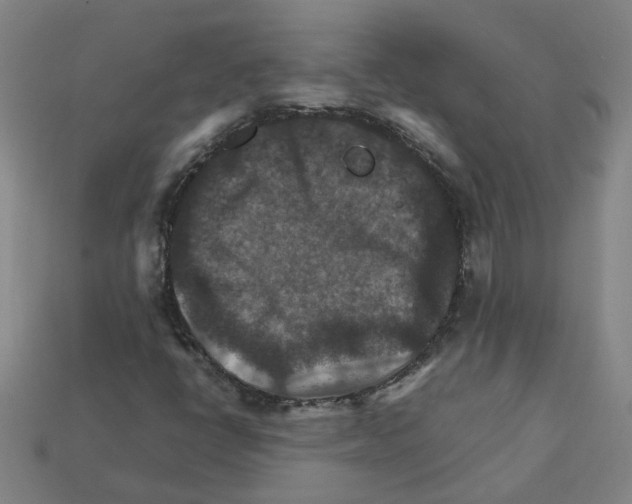 X0000111901398200909071126