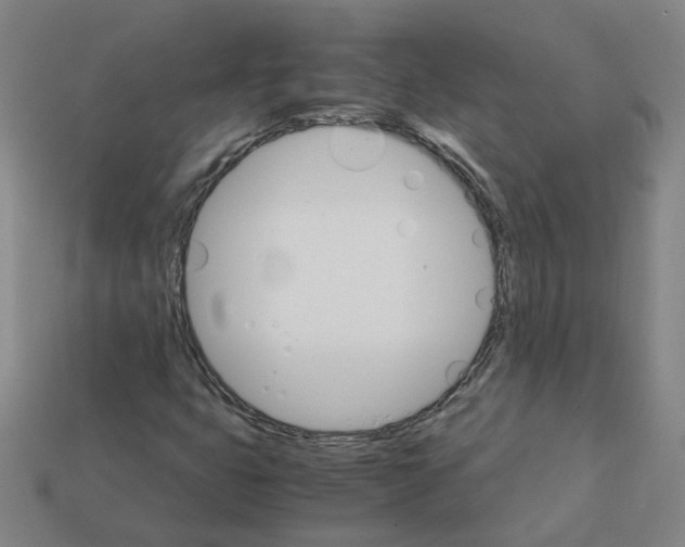 X0000111901399200909071126