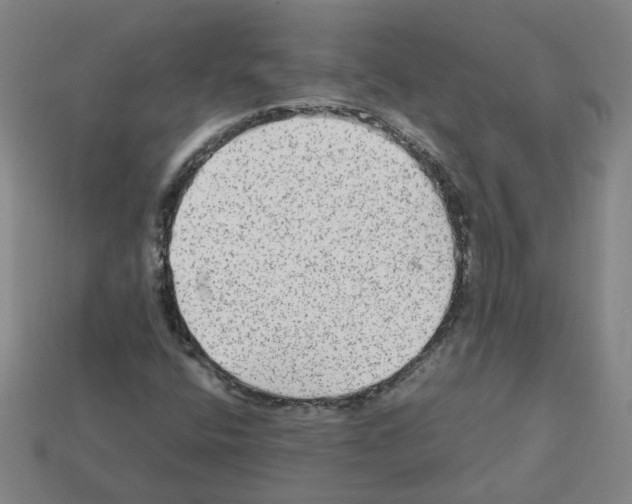 X0000111901400200909071126