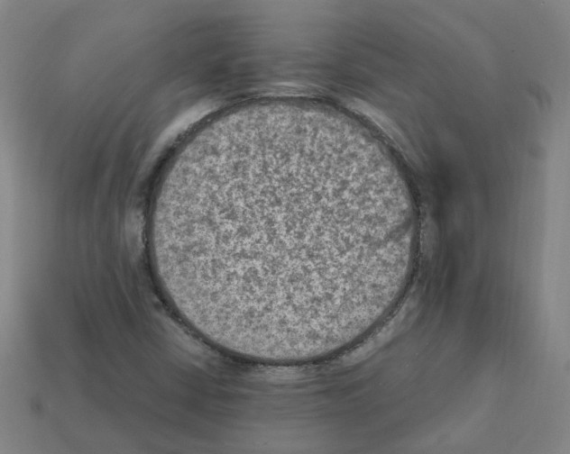 X0000111901402200909071126