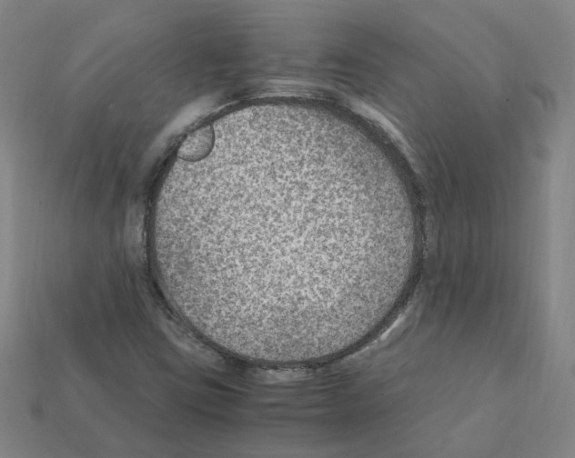 X0000111901403200909071127