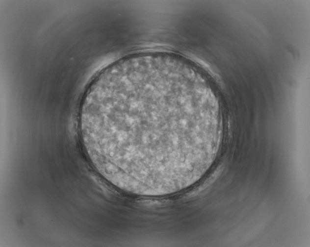 X0000111901405200909071127