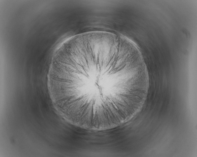 X0000111901407200909071127