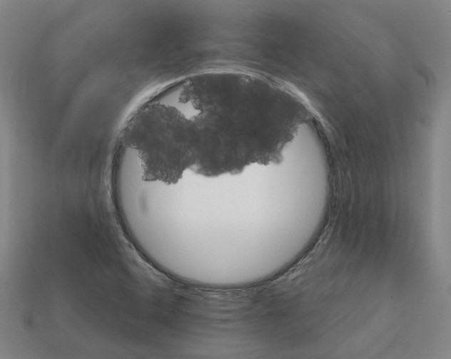 X0000111901408200909071127