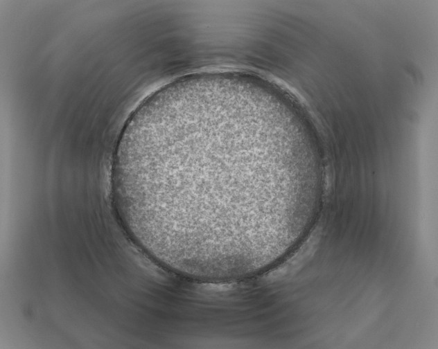 X0000111901409200909071127