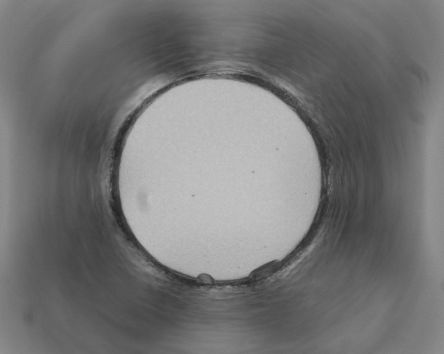 X0000111901410200909071127