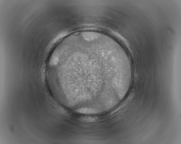 X0000111901411200909071127