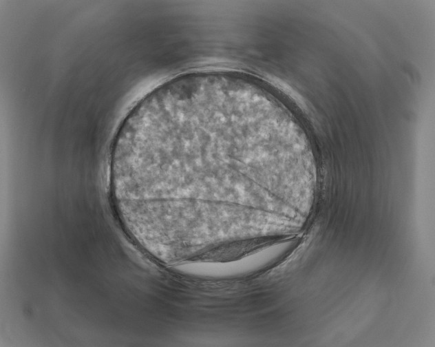 X0000111901413200909071127