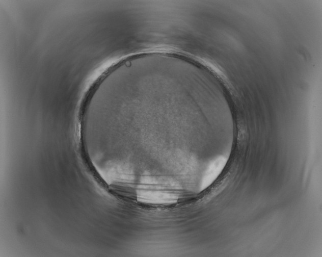 X0000111901414200909071127