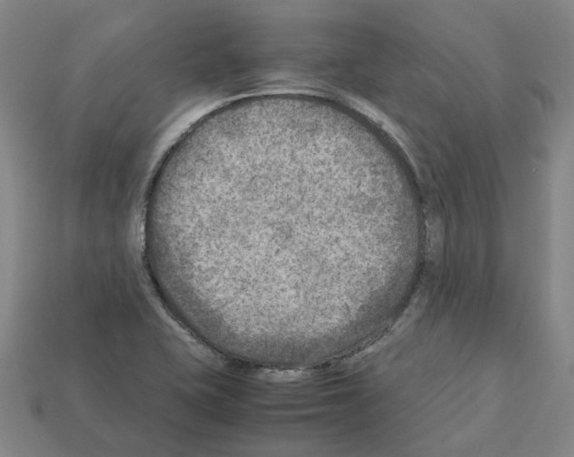 X0000111901415200909071127