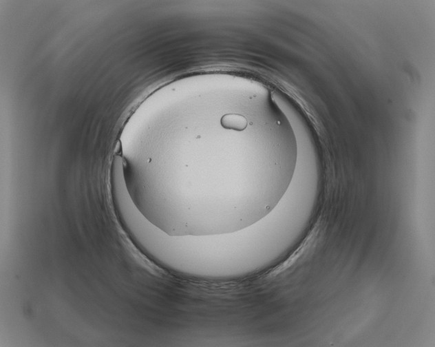 X0000111901417200909071127