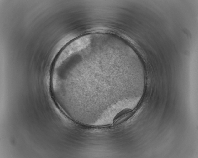 X0000111901418200909071127