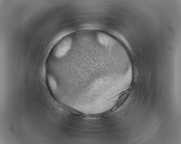 X0000111901419200909071127