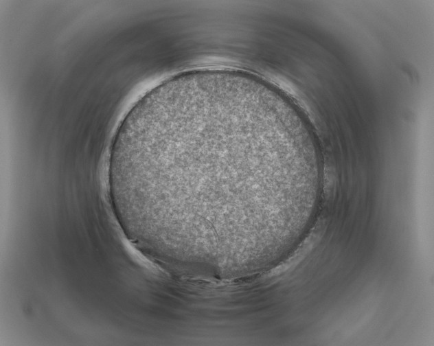 X0000111901421200909071127