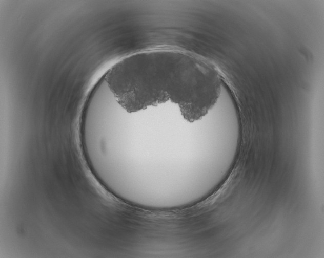 X0000111901422200909071127