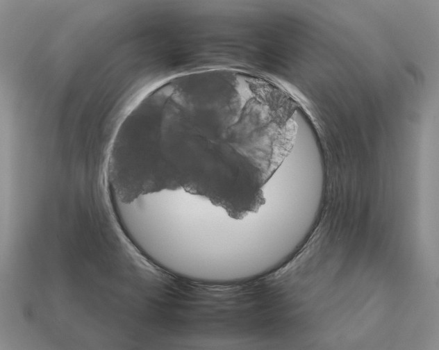 X0000111901423200909071127