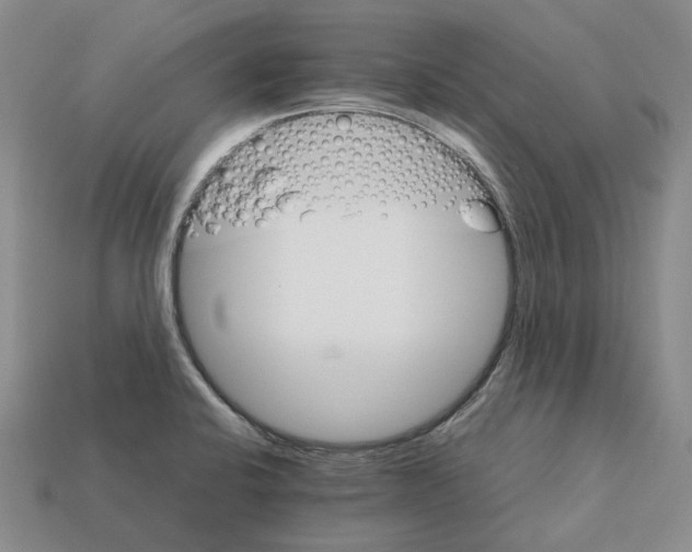 X0000111901424200909071127