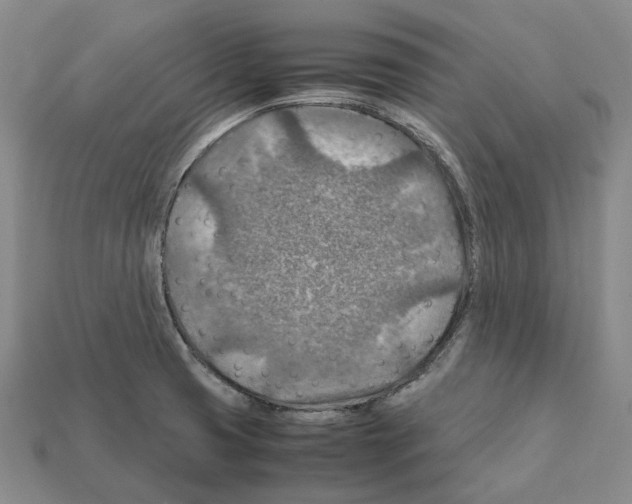 X0000111901425200909071127