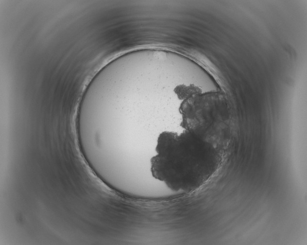 X0000111901428200909071127