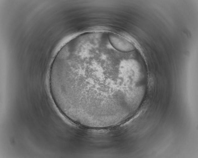 X0000111901429200909071127