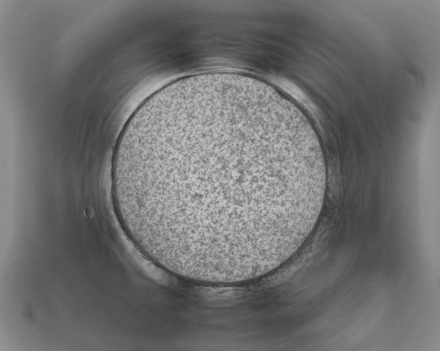 X0000111901431200909071127