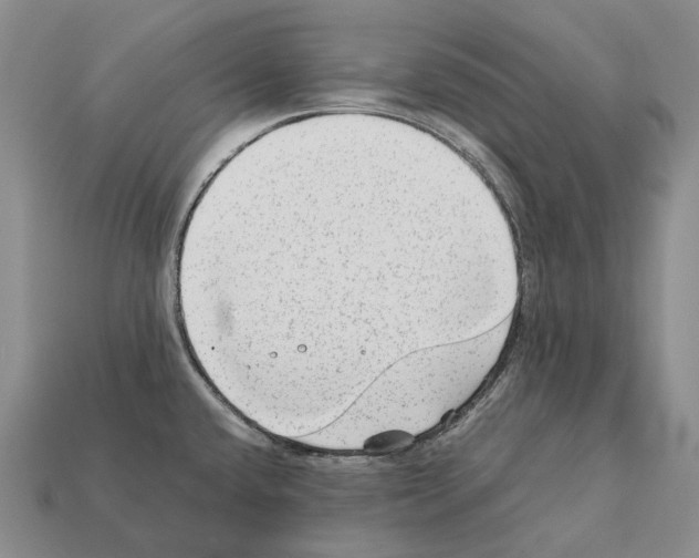 X0000111901432200909071127