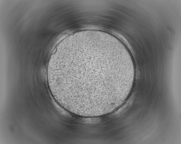 X0000111901433200909071127