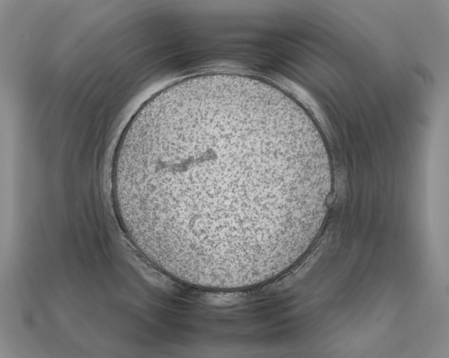 X0000111901435200909071127