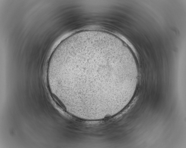 X0000111901437200909071127