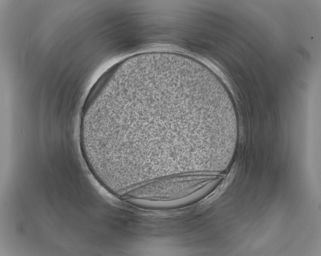 X0000111901438200909071127