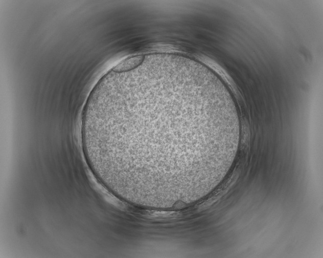 X0000111901439200909071127