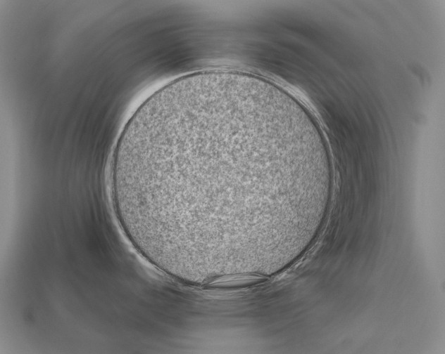 X0000111901440200909071127