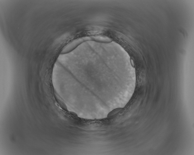 X0000111901441200909071126