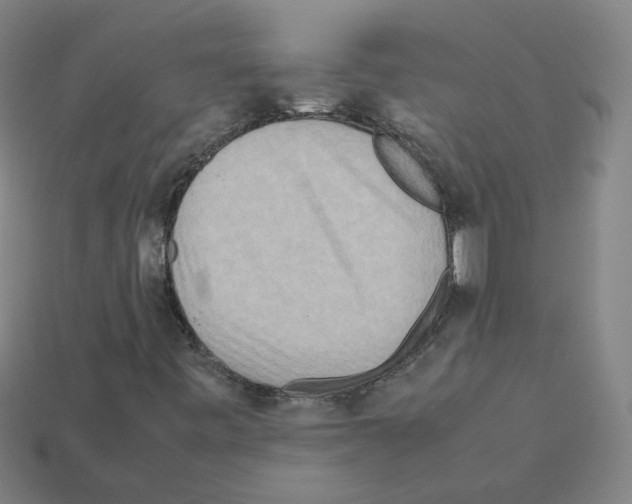 X0000111901443200909071126