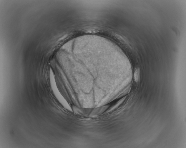 X0000111901444200909071126