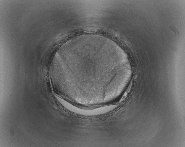 X0000111901445200909071126